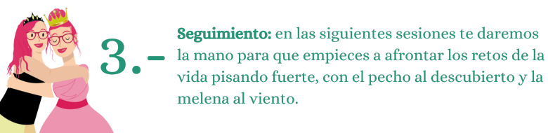 3.-Seguimiento
